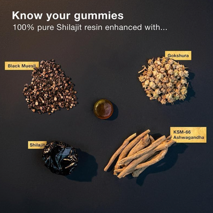 Shilajit Box | 60 Gummies