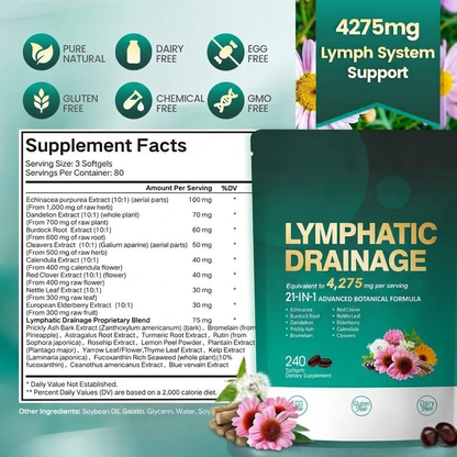 Lymphatic Drainage Support – 21-in-1 Advanced Botanical Formula | 240 Softgels