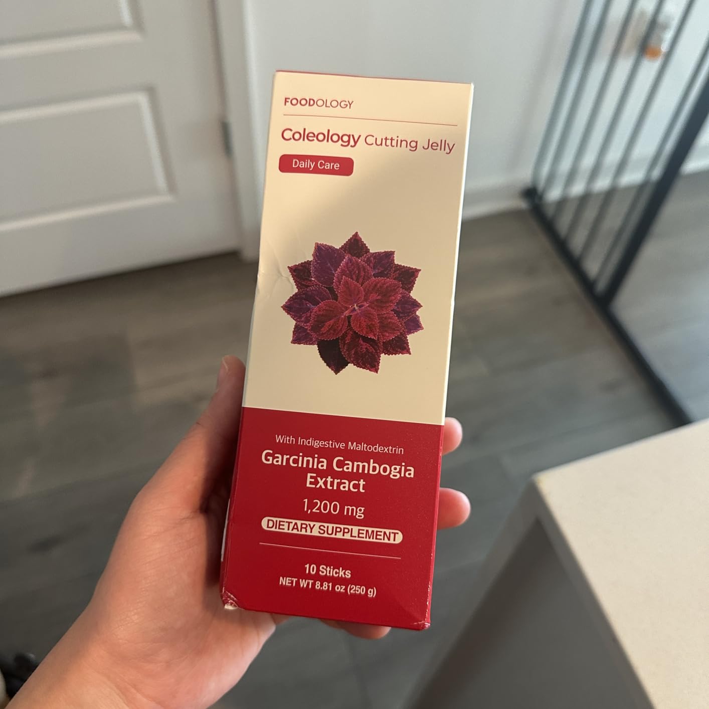 Coleology Cutting Stick Jelly