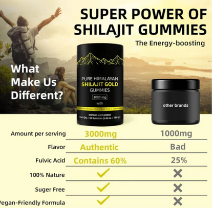 Shilajit Box | 60 Gummies